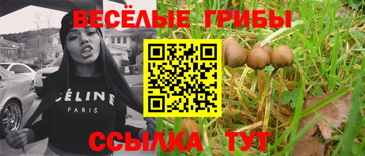 Галлюциногенные грибы Cubensis Благовещенск